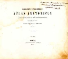 Atlas anatomicus partium corporis humani per strata dispositarium imagines in tabulis XXX ab Augusto Andorffo delineatas ferroque inicisas